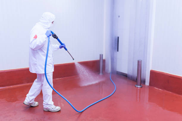 Trusted Raymond, WI Pressure Washing Services Experts