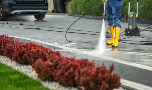 Best Driveway Cleaning and Restoration in Raymond, WI